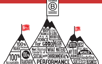Sports & Landscape, hacia la certificación B Corp
