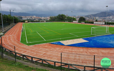 Coloured artificial turf